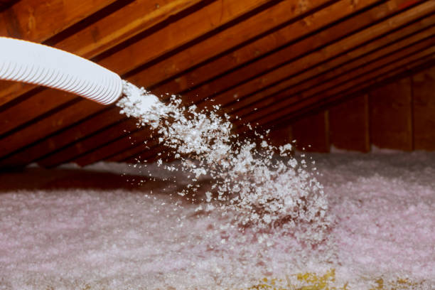 Best DIY Insulation Kits and Guidance in Bull Run, VA