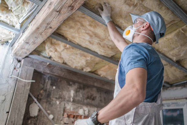 Best Cellulose Insulation in Bull Run, VA